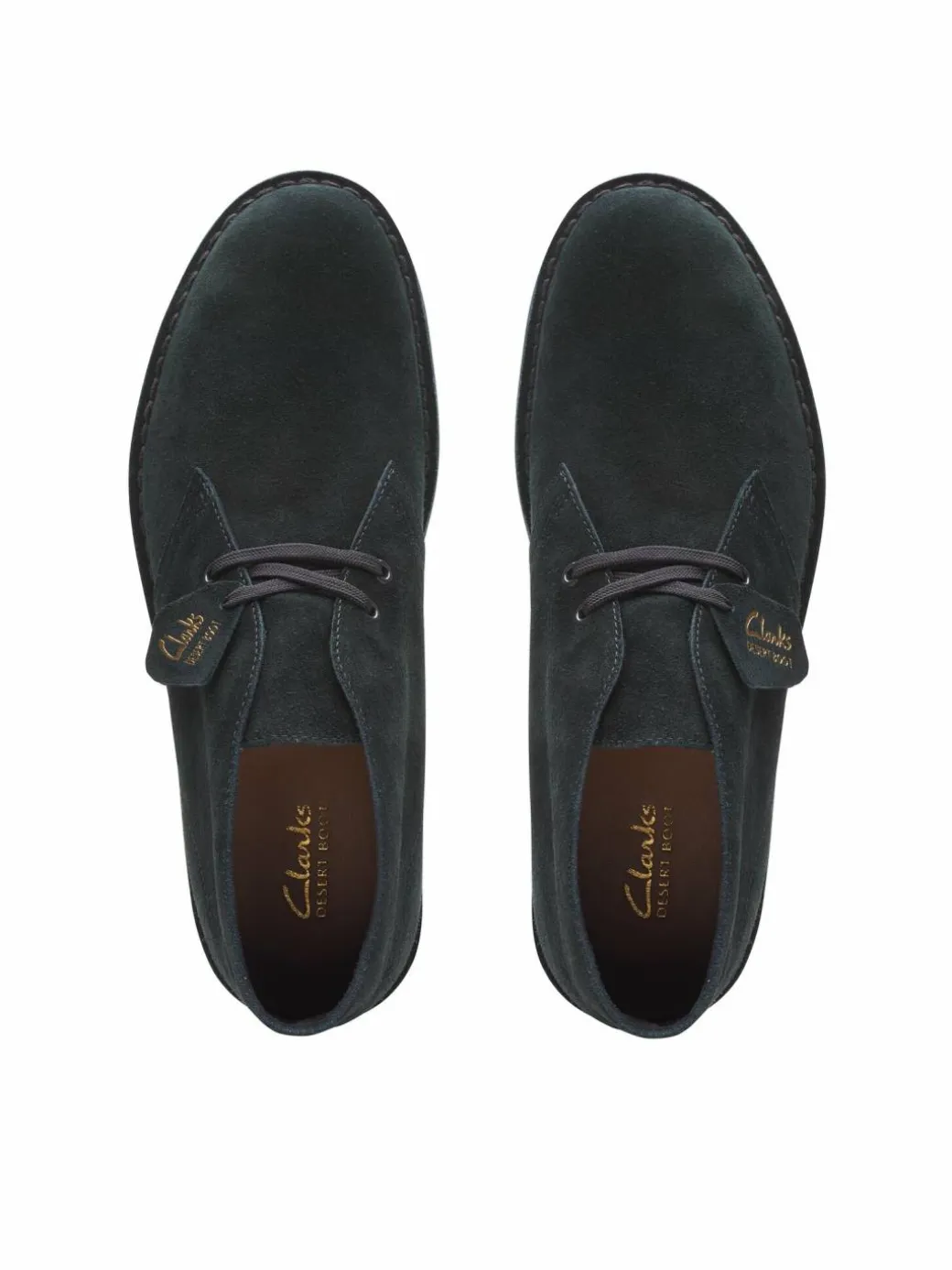 Polacchine Desert Bt Evo Nero