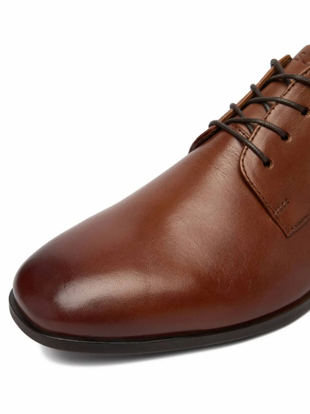 Scarpe basse CEO-DANUBE-03A MI08 Marrone