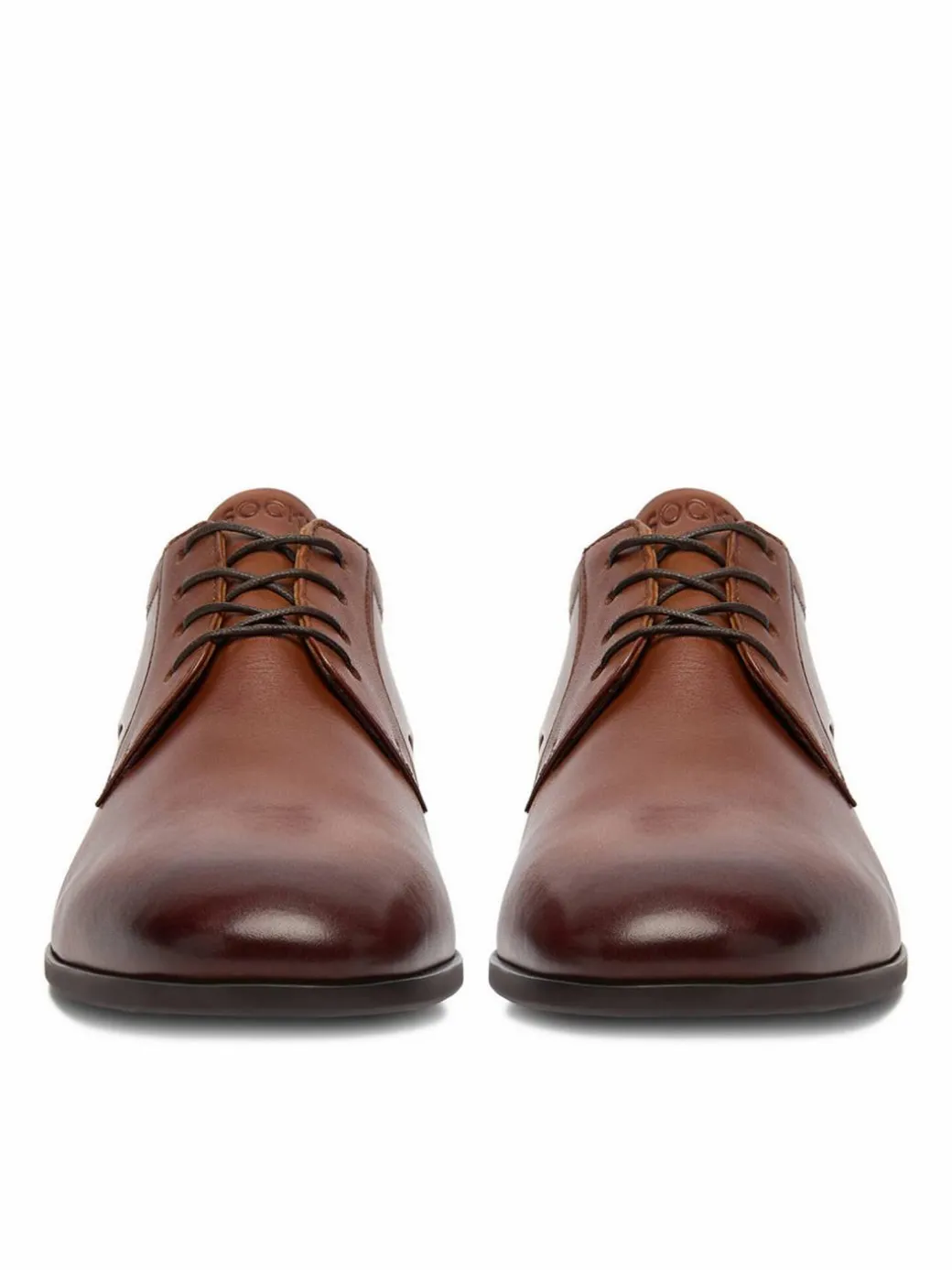Scarpe basse CEO-DANUBE-03A MI08 Marrone