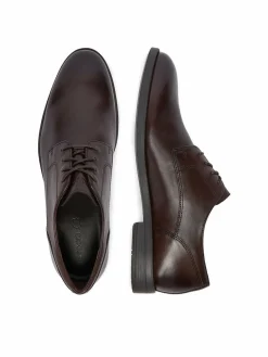 Scarpe basse CEO-RIO-GRANDE2-54 MB Marrone scuro