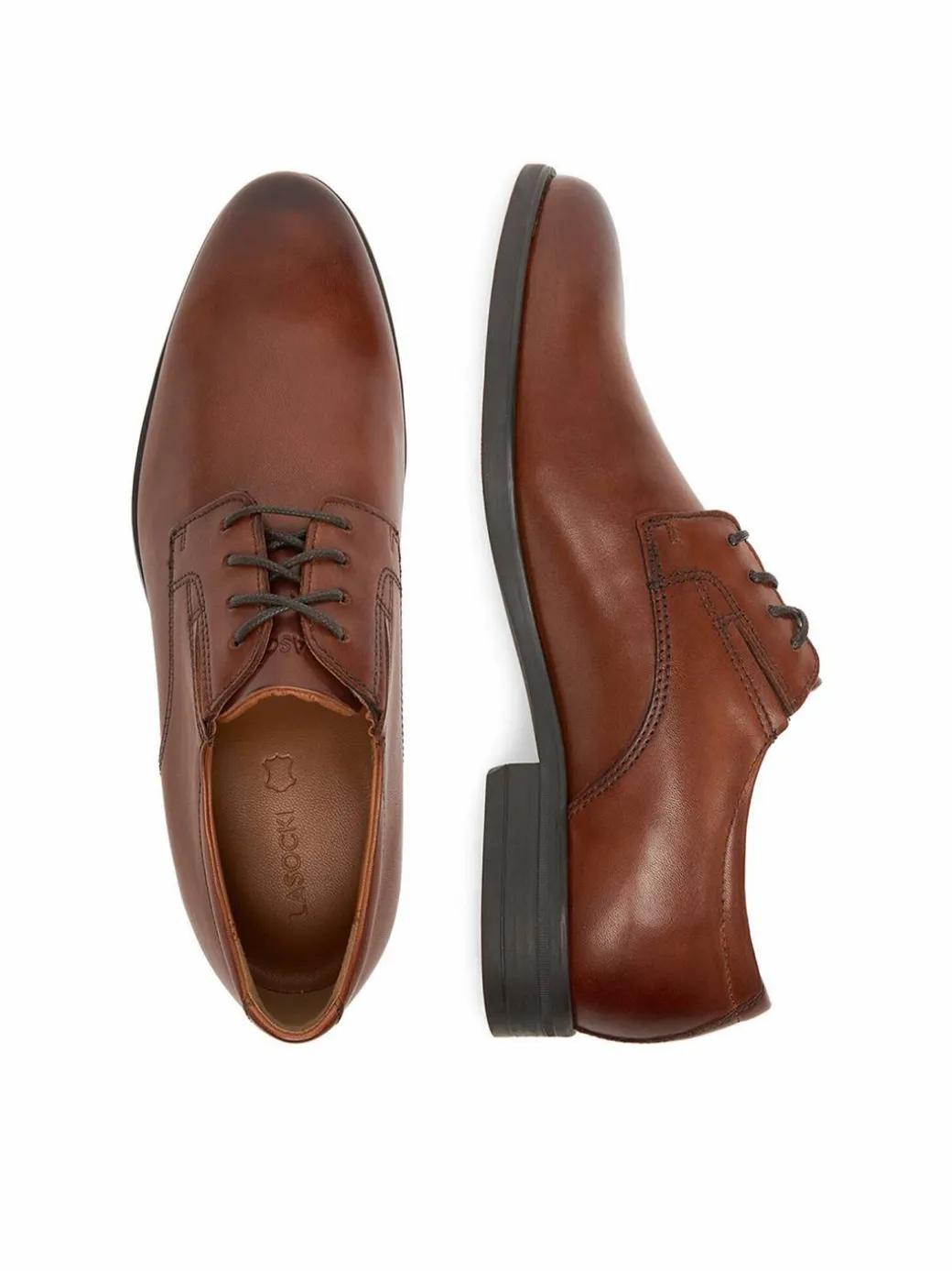 Scarpe basse CEO-SZWEJK-33 MB Marrone scuro
