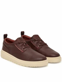 Scarpe basse Polden Lace 26184960 Marrone