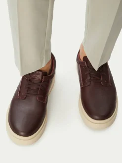 Scarpe basse Polden Lace 26184960 Marrone