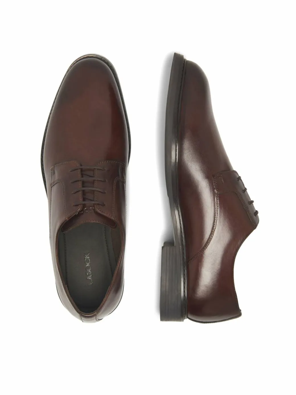Scarpe basse TAPP-01 MI12 Marrone