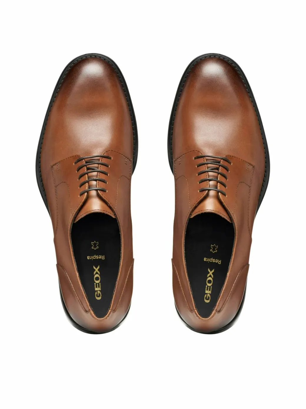 Scarpe basse U Barberigo U56MBC 00043 C6610 Marrone