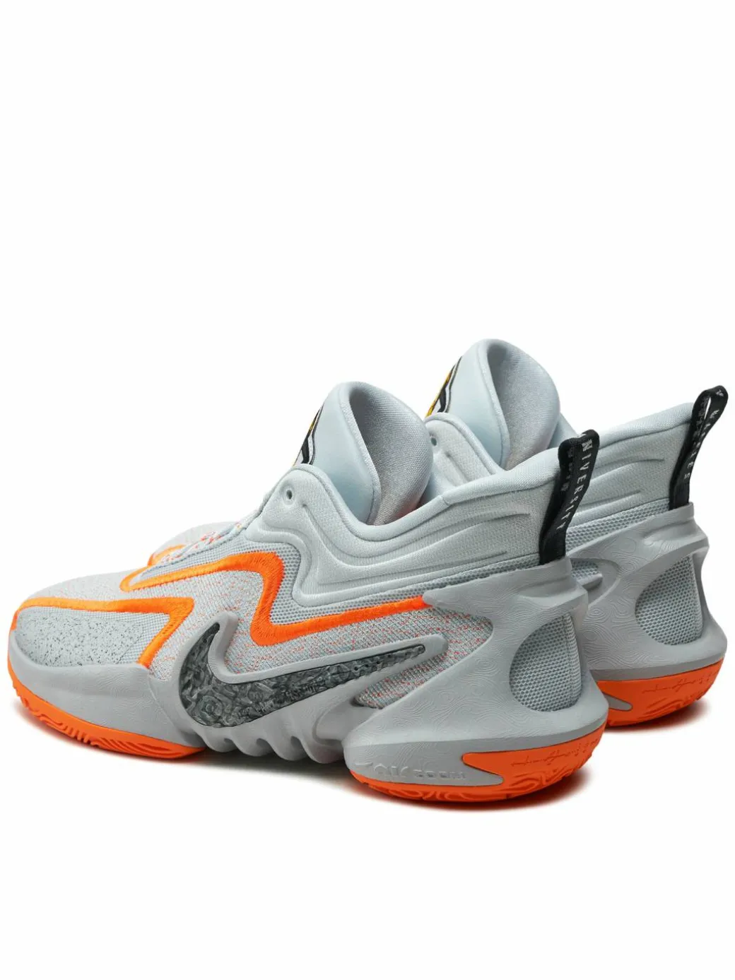 Scarpe da basket DH1537-004 Grigio