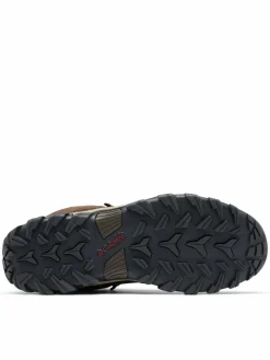 Scarpe da trekking Newton Ridge Plus II Suede Wp 1746411 Marrone