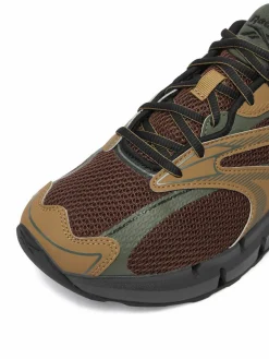 Scarpe running EO-ZIG HYPNOTICA 100263343 Marrone