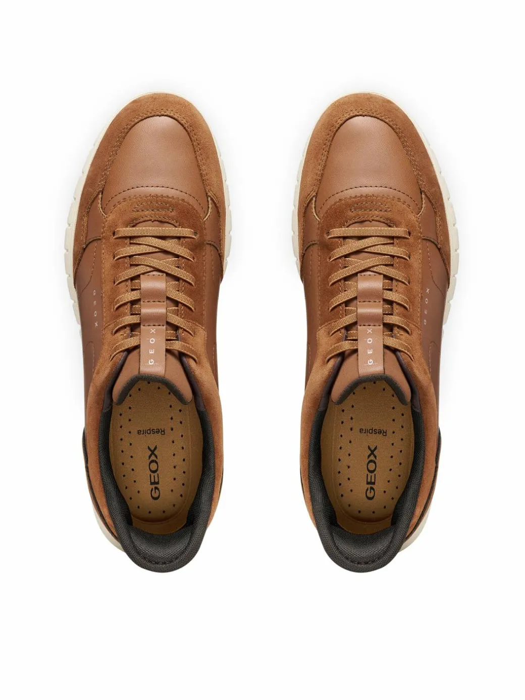 Sneakers U Flextridezero Plus U66NEA 0BC22 C6001 Marrone