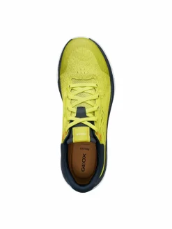 Sneakers U Spherica Actif X1 U65HUB 0006K C3SF4 Verde